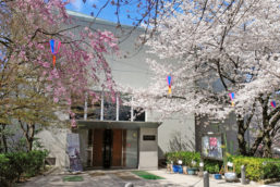 6-3.正面玄関1(春)small 6-3.正面玄関1(春)small