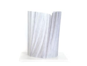 大賞_SaihouShibata『夕方の風』